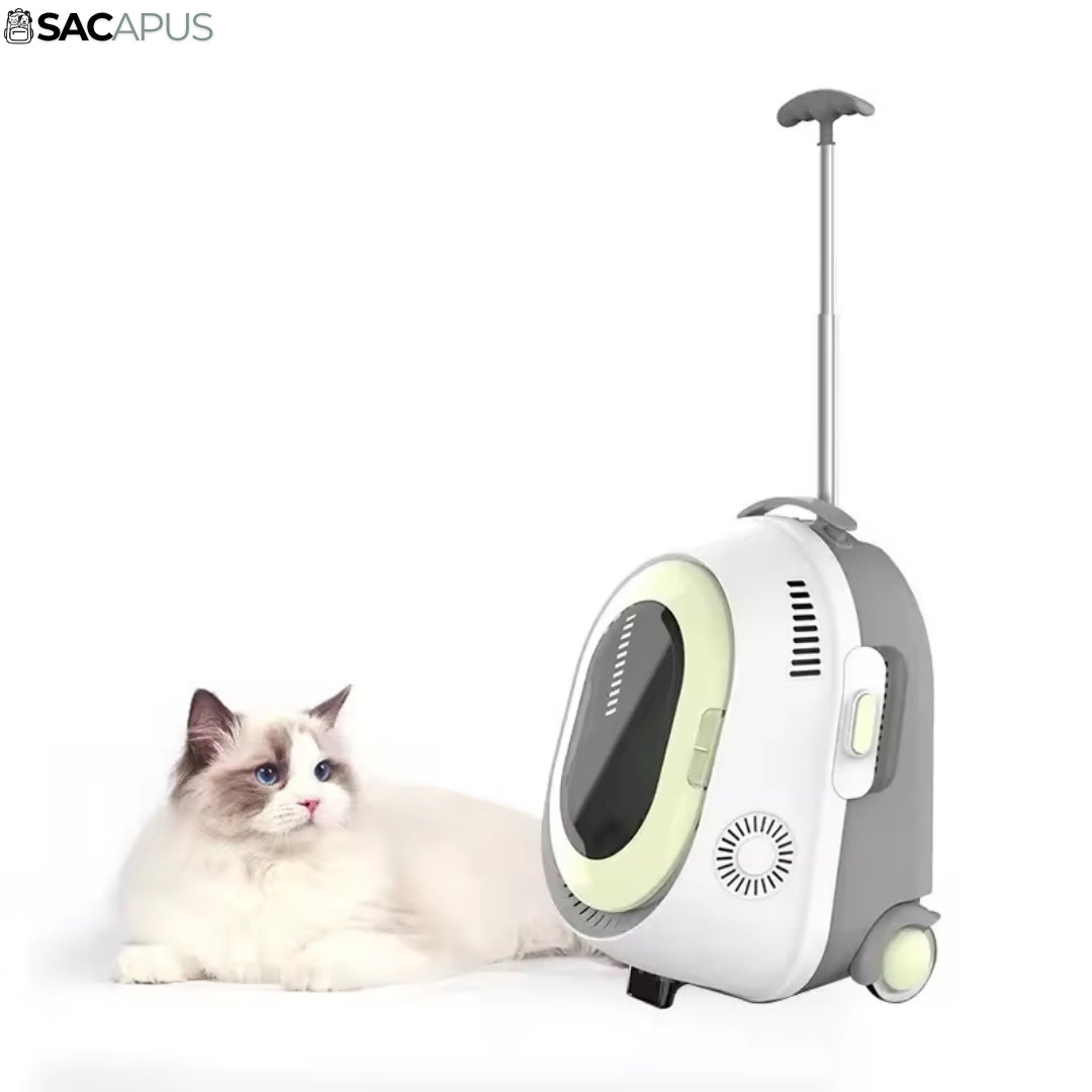 Transporteur Chat WiFi Climatisé - Confort ultime pour votre félin